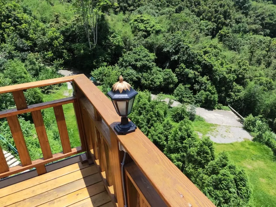 櫻花之盡 圖片 15