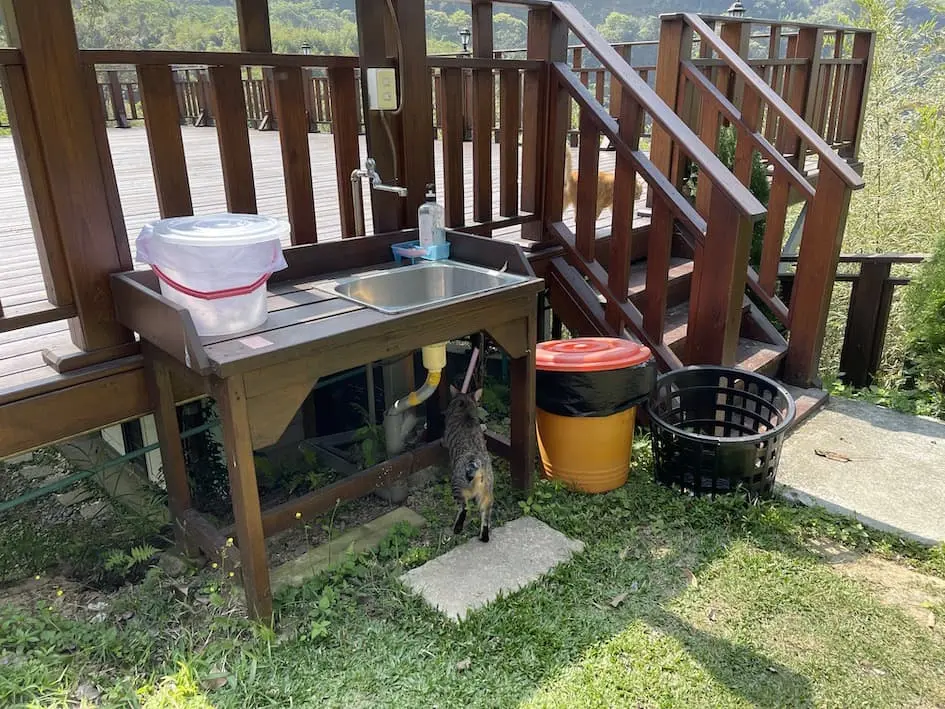 櫻花之盡 圖片 7