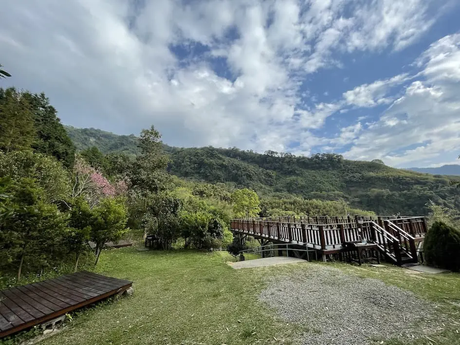 櫻花之盡 圖片 10